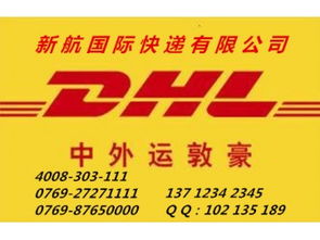 專業高效，鏈接全球 企石DHL快遞服務與南城新航貨運倉儲解決方案