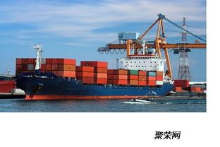 青島出口貨運(yùn)訂艙代理與國(guó)內(nèi)貨物運(yùn)輸代理服務(wù)詳解